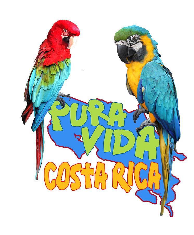 Macaw Digital Art - Costa Rican Macaws by Linda Bissett
