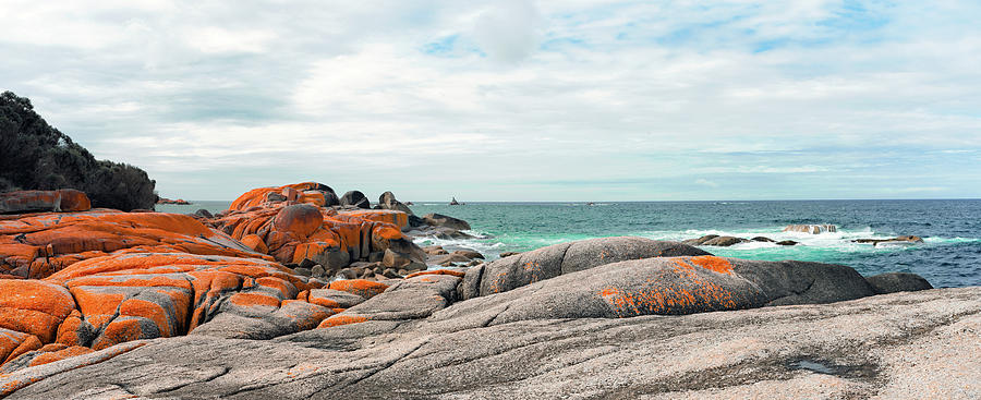 Cosy Corner Nth - Bay of Fires - Tasmania Photograph by Anthony Davey