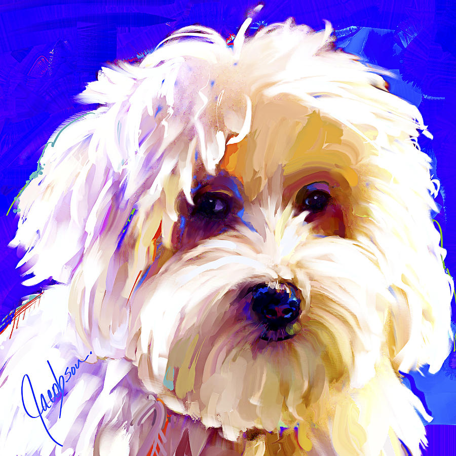 Coton de Tulear 2 Painting by Jackie Medow-Jacobson