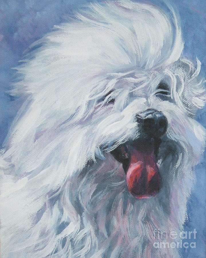 Coton de Tulear Painting by Lee Ann Shepard - Fine Art America