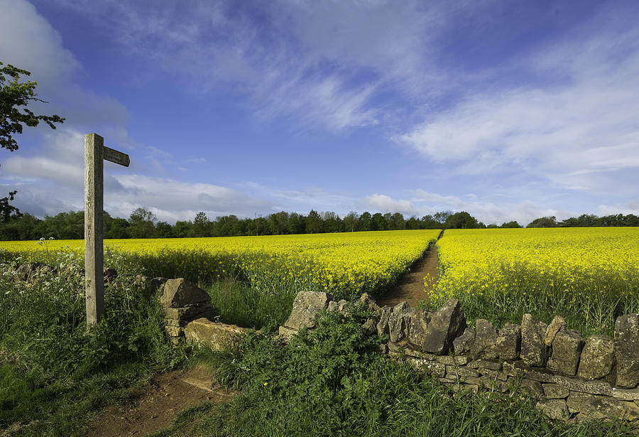 Broadway Photograph - Cotswold Way In The Spring by Wendy Chapman