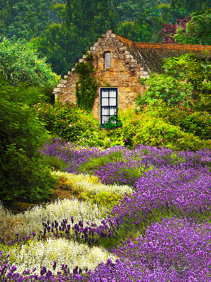 Cottage Amidst the Lavender Digital Art by Vicki Lea Eggen