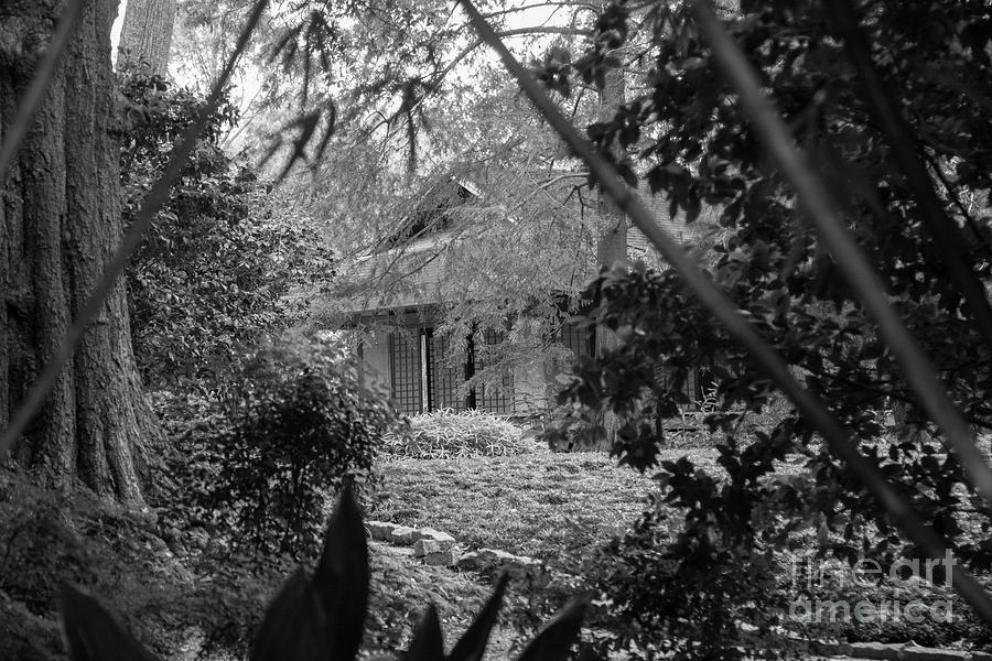 Cottage Black White Gardens Louisiana  Photograph by Chuck Kuhn