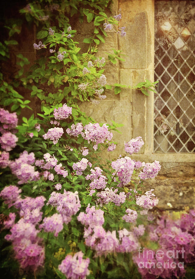 Cottage Garden Photograph by Lyn Randle