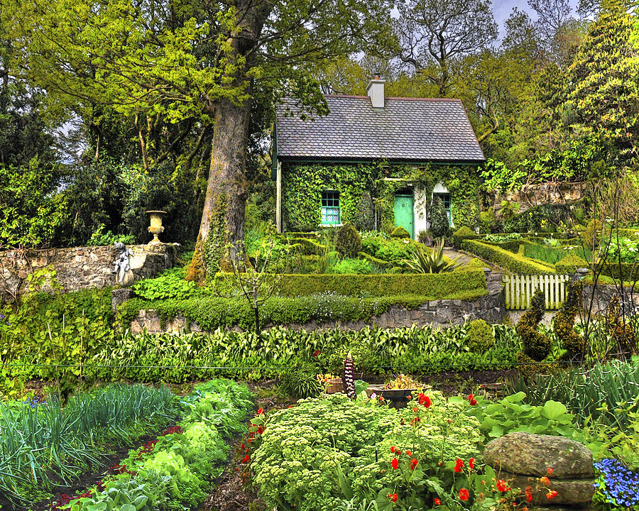 Cottage in the Green Digital Art by Vicki Lea Eggen
