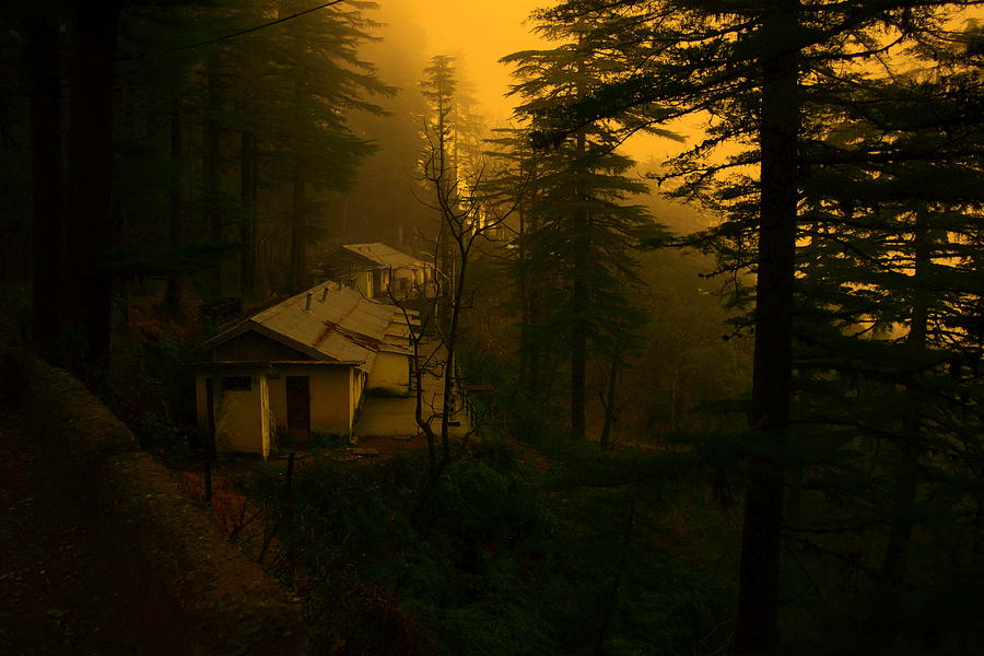 Cottage in woods Photograph by Salman Ravish