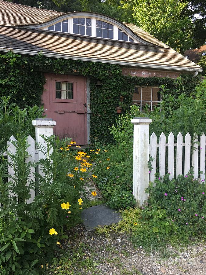 Cottage life by Cheryl Abbiati Cottage life by Cheryl Abbiati