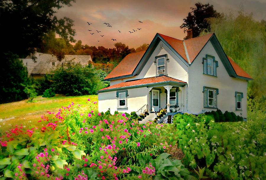 Cottage on the Hill Photograph by Diana Angstadt