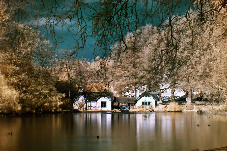 Cottage on the lake Photograph by Helga Novelli