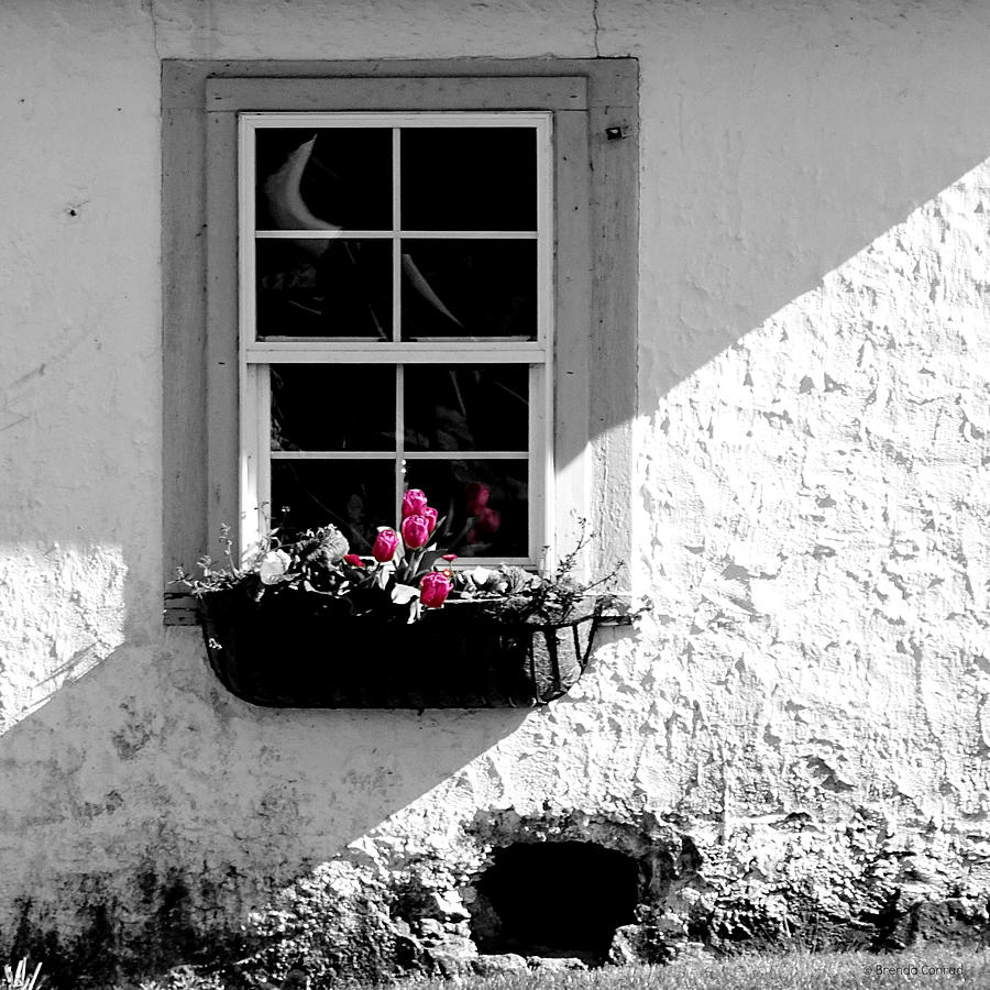 Cottage Window Photograph by Dark Whimsy