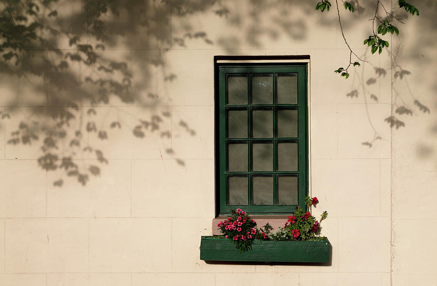 Cottage Window Photograph by Nicholas Blackwell