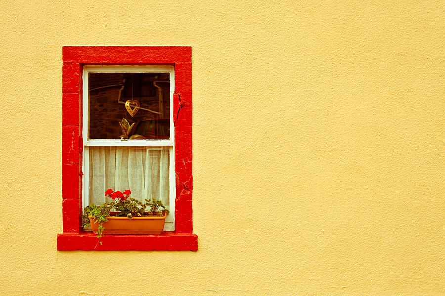 Flower Photograph - Cottage window by Tom Gowanlock