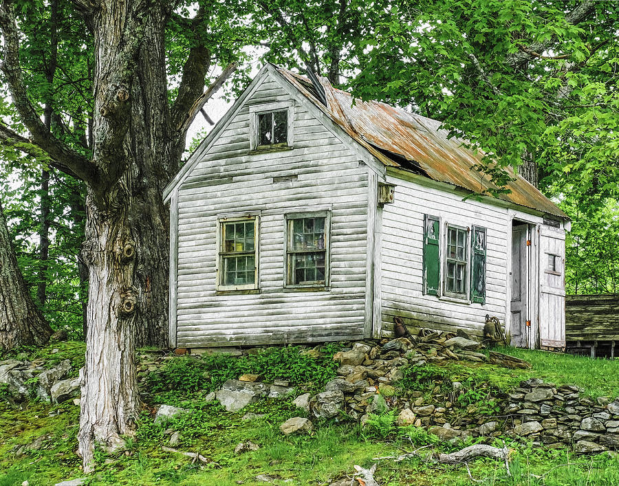 Tree Photograph - Cottage with Character by Betty Denise