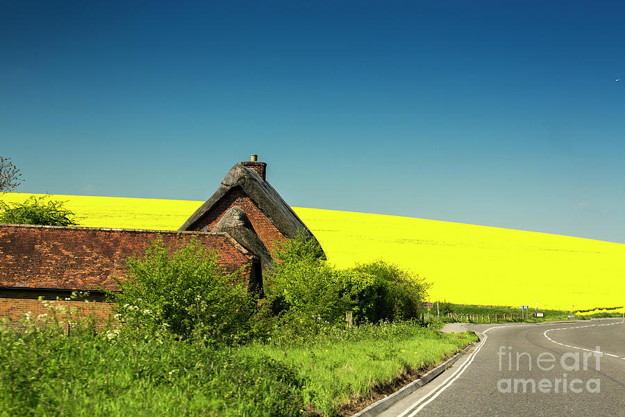 Cottage with rapeseed field backdrop Photograph by Sheila Smart Fine Art Photography