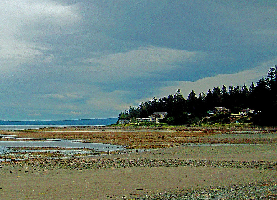 Vancouver Island Canada Digital Art - Cottages And Tides by Joseph Coulombe