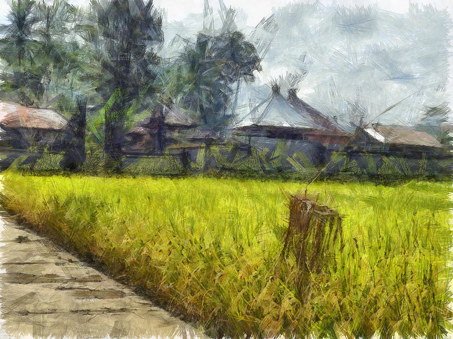 Cottages next to a field Photograph by Ashish Agarwal