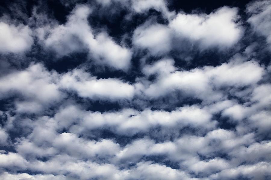 Cotton Ball Clouds Photograph by John Harmon