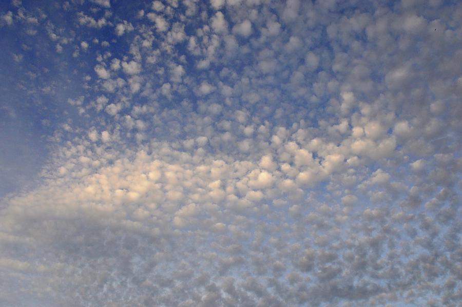 Cotton Balls In The Sky  Photograph by Lyle Crump