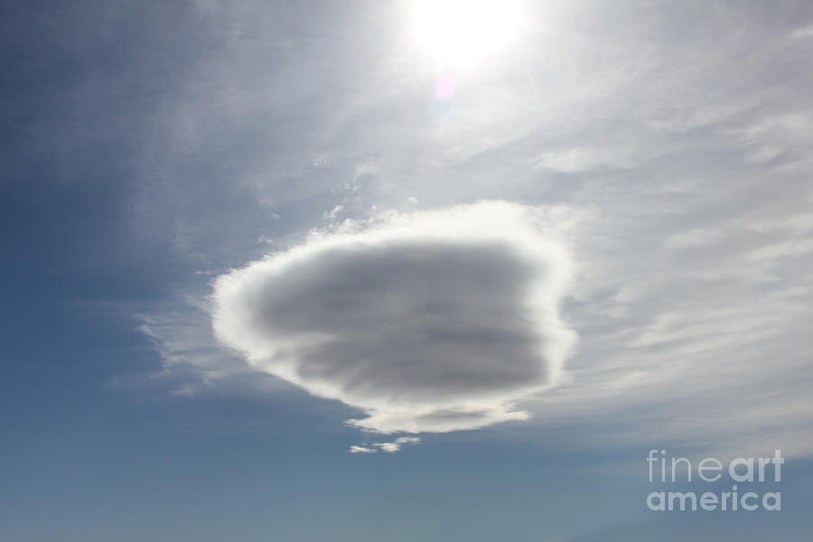 Cotton Baton Cloud Photograph by Donna L Munro