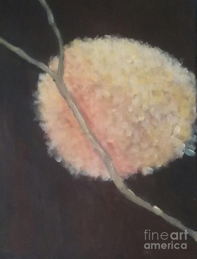 Cotton Branch Series Painting by Sherry Harradence