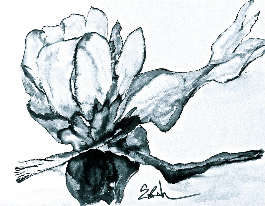 Black And White Drawing - Cotton Bud by Sarah Cassidy
