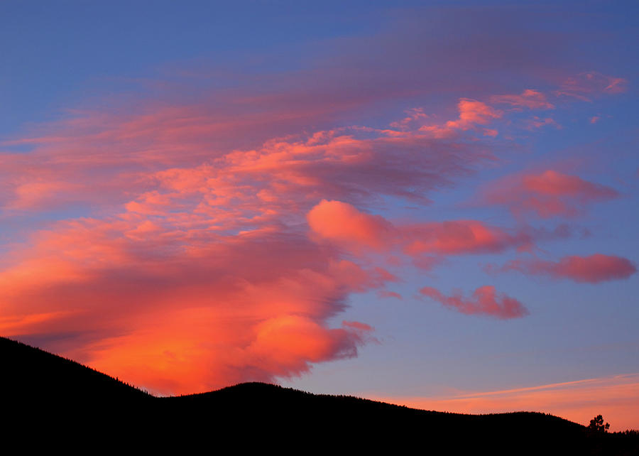 Sunset Photograph - Cotton Candy Clouds by Kristin Davidson