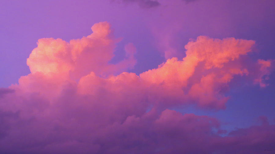 Cotton Candy Clouds Photograph by Shawna Rowe