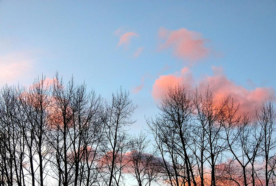 Sunset Photograph - Cotton Candy Clouds by Will Borden