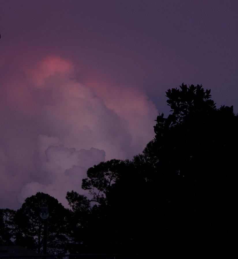 Sunset Photograph - Cotton Candy Dusk by Nancy Dinsmore