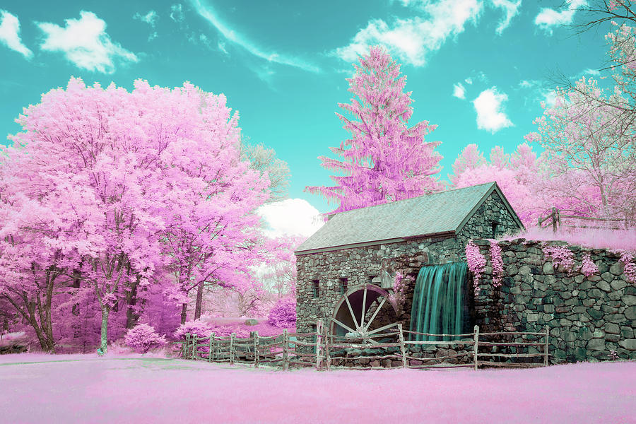 Cotton Candy Grist Mill Photograph by Brian Hale