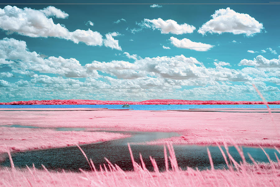 Cotton Candy Marsh Photograph by Brian Hale