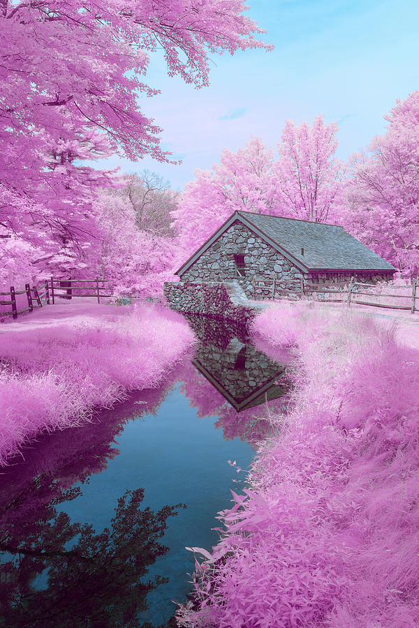 Cotton Candy River Photograph by Brian Hale