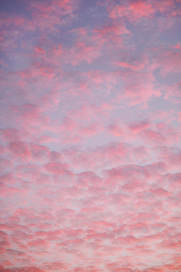 Cotton Candy Sky Photograph By Art Block Collections