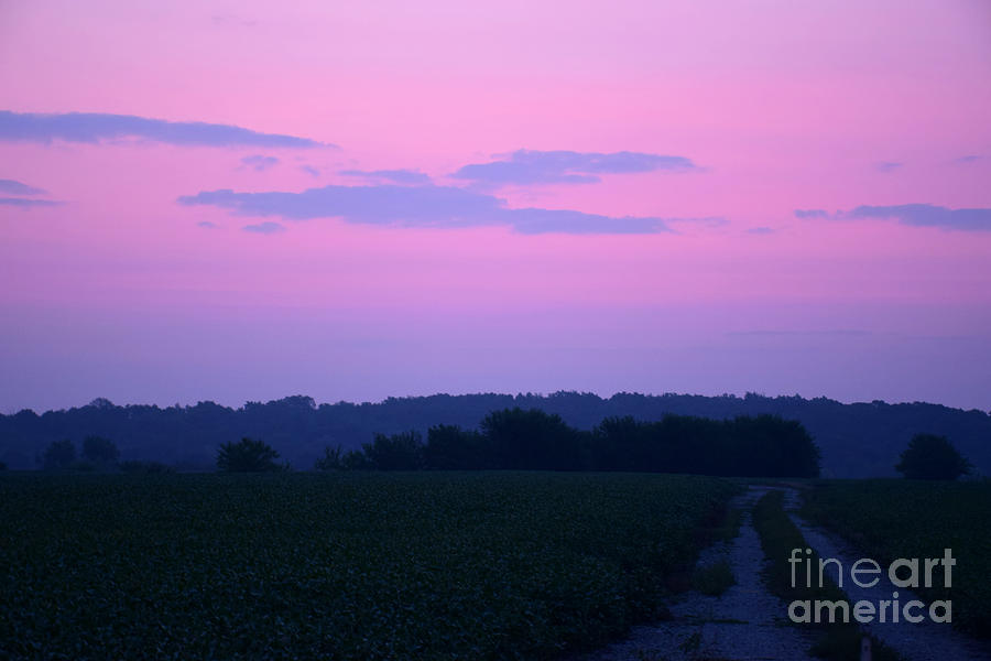Cotton Candy Sunrise Photograph by Kathy M Krause
