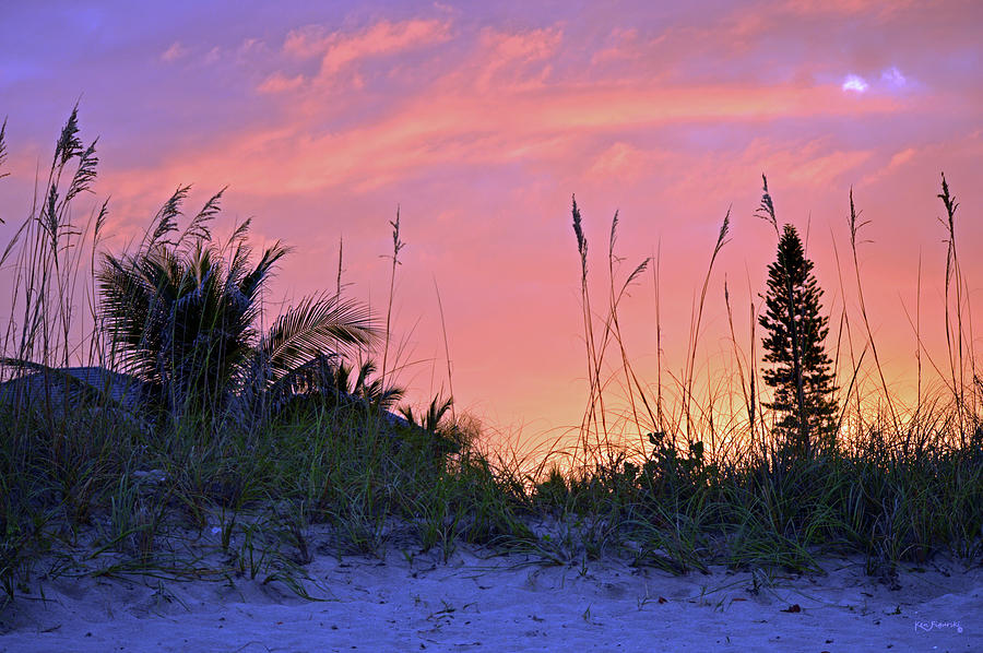 Cotton Candy Sunset Dune Photograph by Ken Figurski