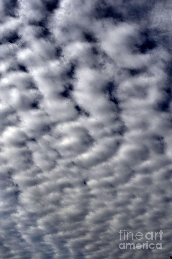 Cotton Clouds Photograph by Clayton Bruster