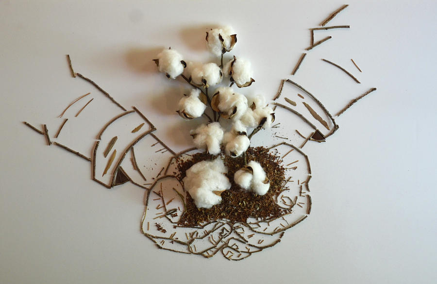 Hands Mixed Media - Cotton Farmer by Susan Combest