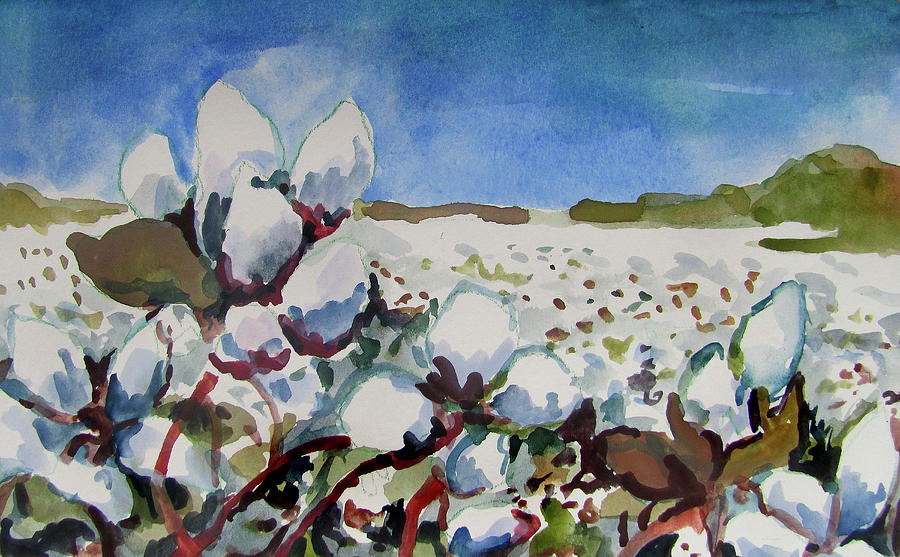 Cotton Fields Painting by James Huntley