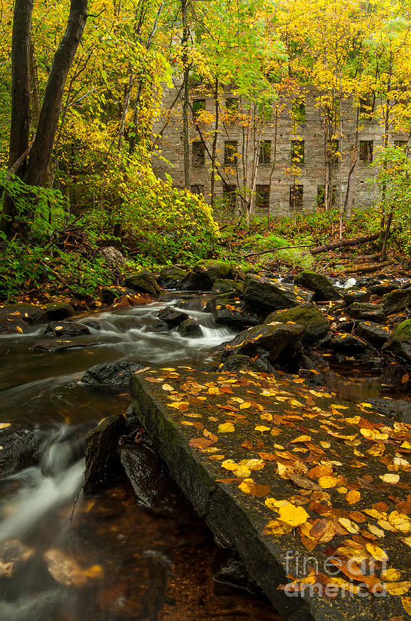 Cotton Mill Memories - Mill Ruins on Woodland Brook Photograph by JG Coleman