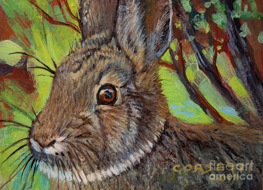 Cotton Tail Rabbit Painting by Robert Corsetti