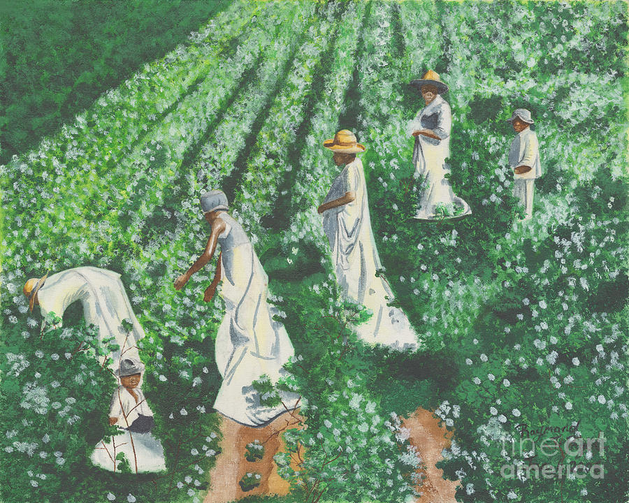 Cottonfield Painting by Raymond T Pryer - Pixels