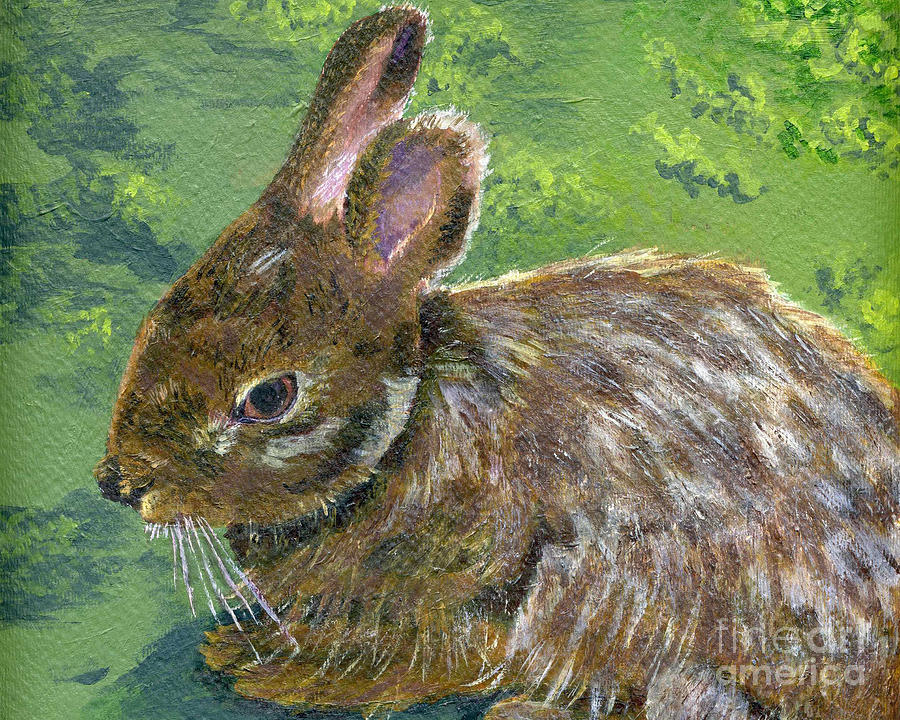 Cottontail Painting by Lynne Reichhart