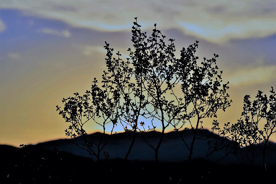 Cottontail Sunrise Photograph by John Glass