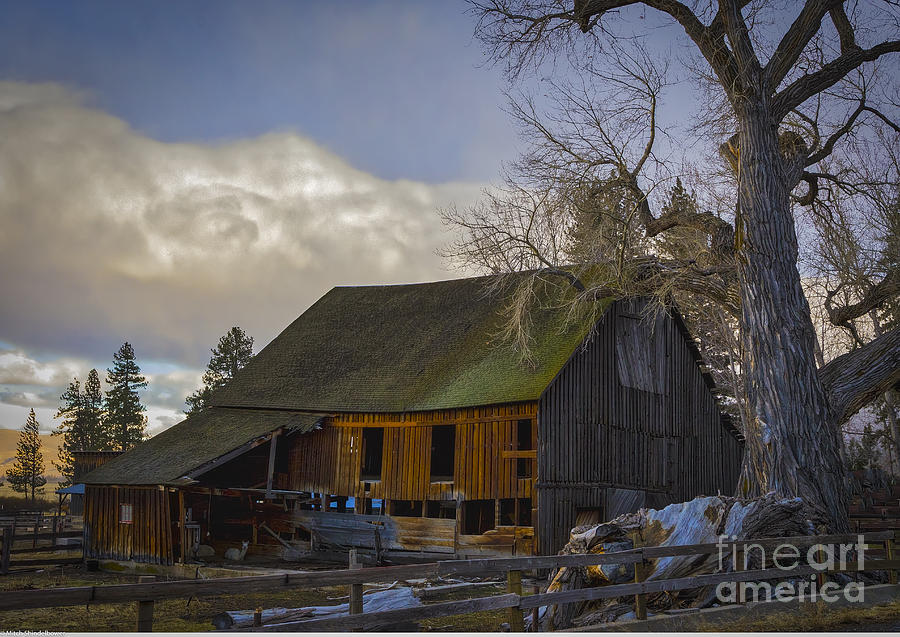 Barn Photograph - Cottonwood Barn by Mitch Shindelbower