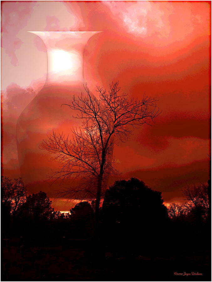 Cottonwood Crimson Sunset Photograph by Joyce Dickens