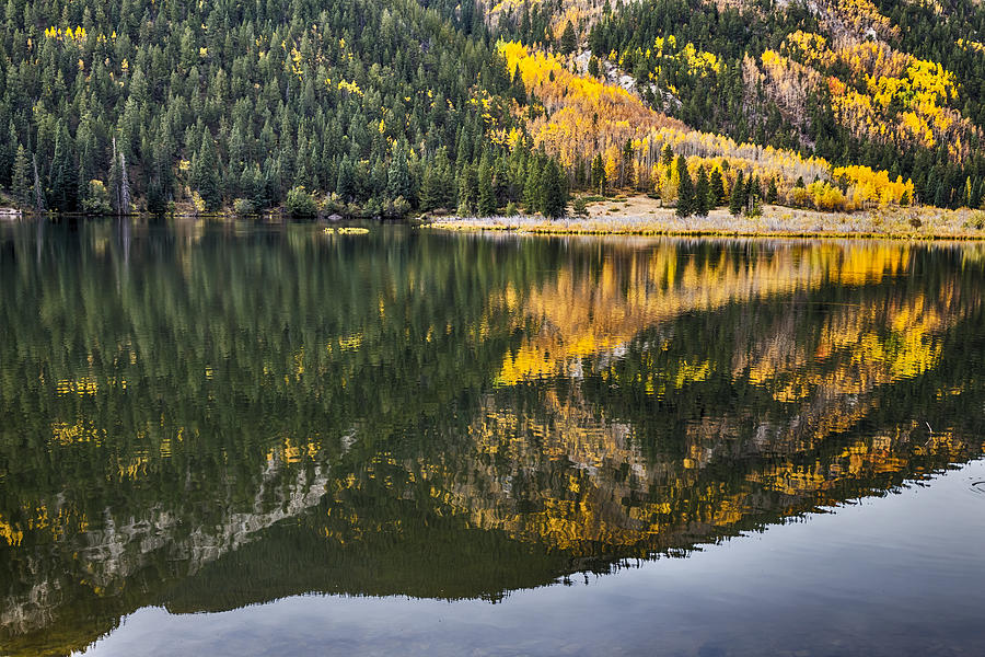 Cottonwood Lake Reflections Photograph by James BO Insogna