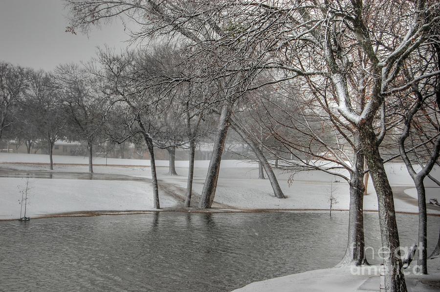 Cottonwood Park Winter 2 Photograph by Bill Hamilton