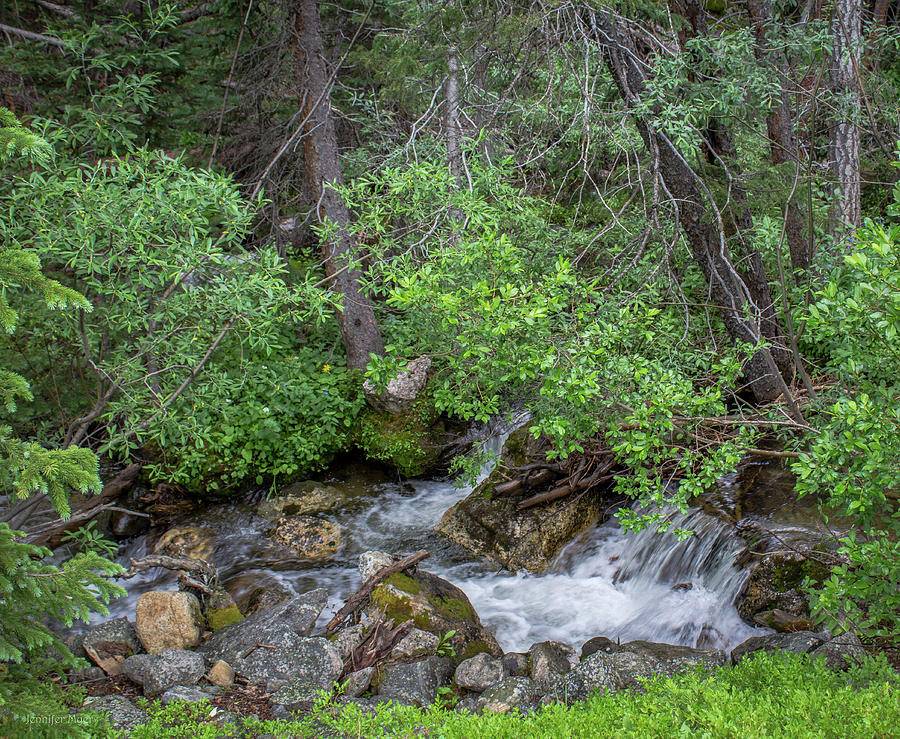 cottonwood outdoor pool