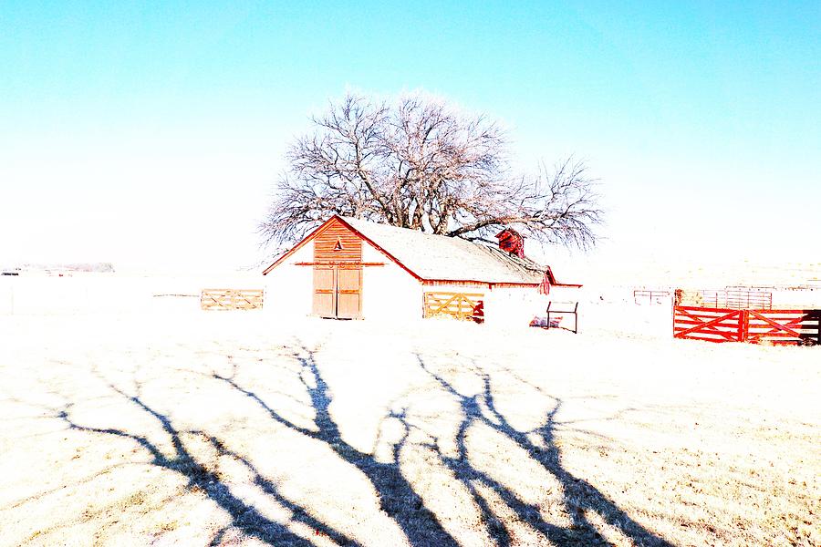 Cottonwood Ranch, Kansas Photograph by Merle Grenz