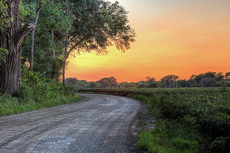 Wichita Photograph - Cottonwood Sunset by JC Findley